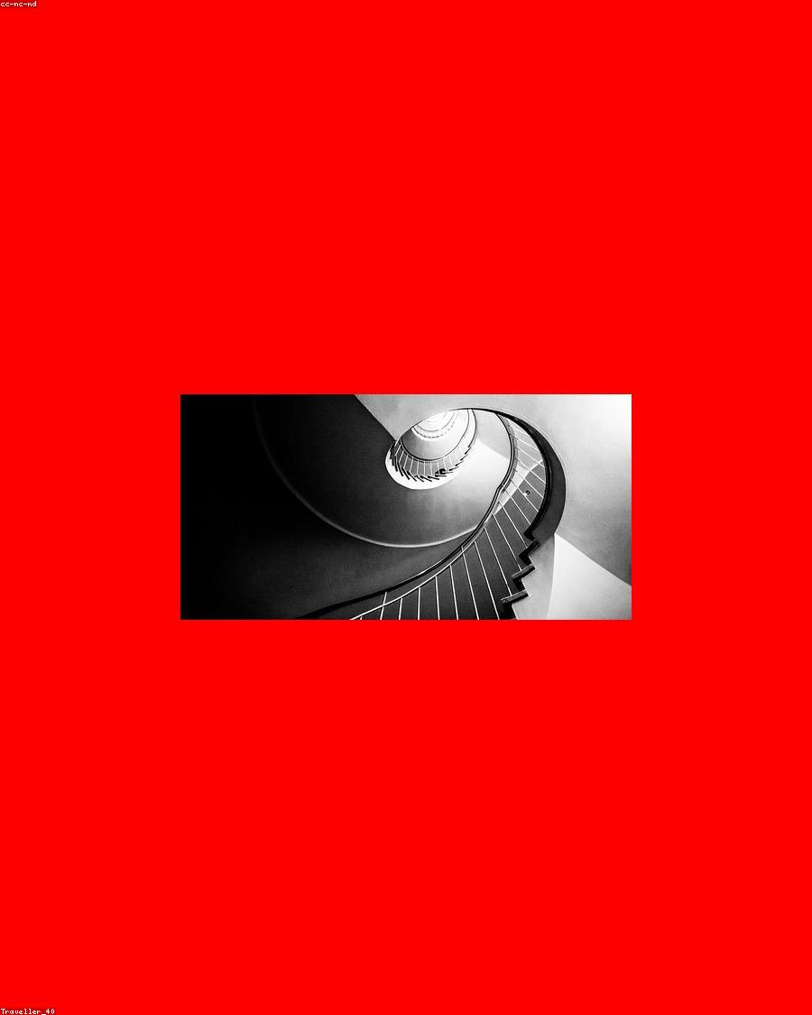 Vector